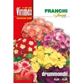 Cveće FLOX-MULTICOLOR (Phlox drumondii) Virimax