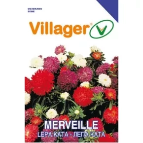 Cveće LEPA KATA-MERVEILLE MIX Villager Cveće LEPA KATA-MERVEILLE MIX Villager