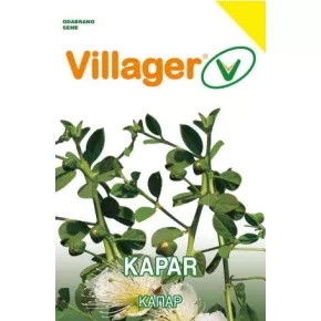 Začin KAPAR Villager