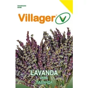Začin LAVANDA Vera Villager