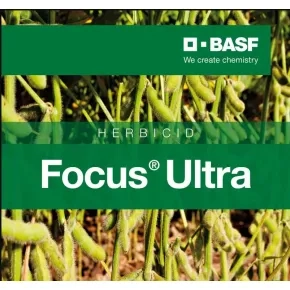 Focus ultra 1l