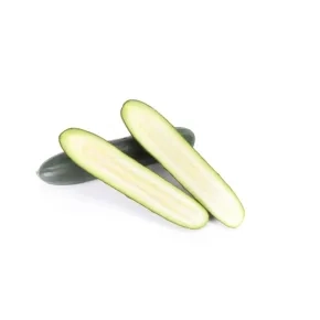 Krastavac Touareg RZ F1