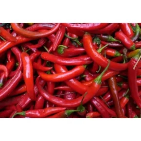 Seme paprike Feferona crvena ljuta - 10 g 