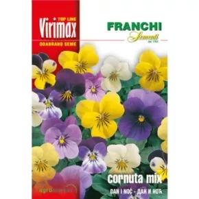 Cveće DAN I NOĆ VIOLA CORNUTA MIX
