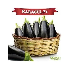 Patlidžan Karagul F1 500s