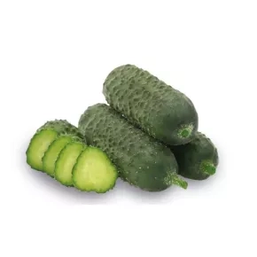 Krasatvac Kornišon Magellan f1