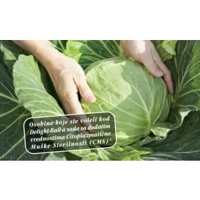 Kupus Magnus-Cresco F1