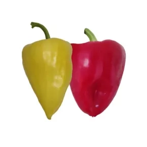 Seme paprika NS PRVA 20 g