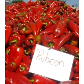 Paprika Rubicon F1