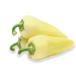 Paprika ZKI 09402 F1