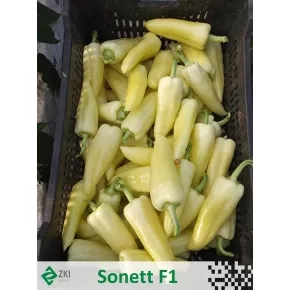 Paprika Sonett F1