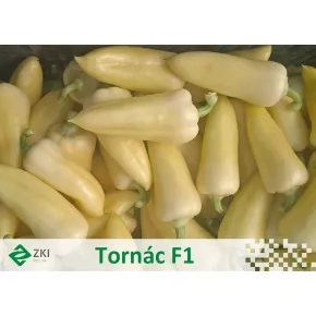 Paprika Tornac F1 (ZKI09332) Paprika Tornac F1 (ZKI09332)