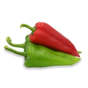 Paprika ZKI 09422 F1